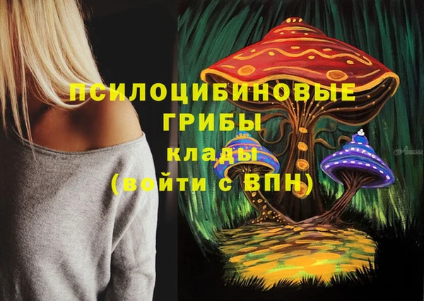 трава Армянск