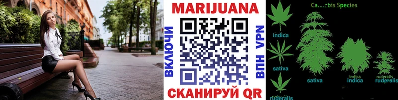 Каннабис OG Kush  МЕГА   Рыльск 